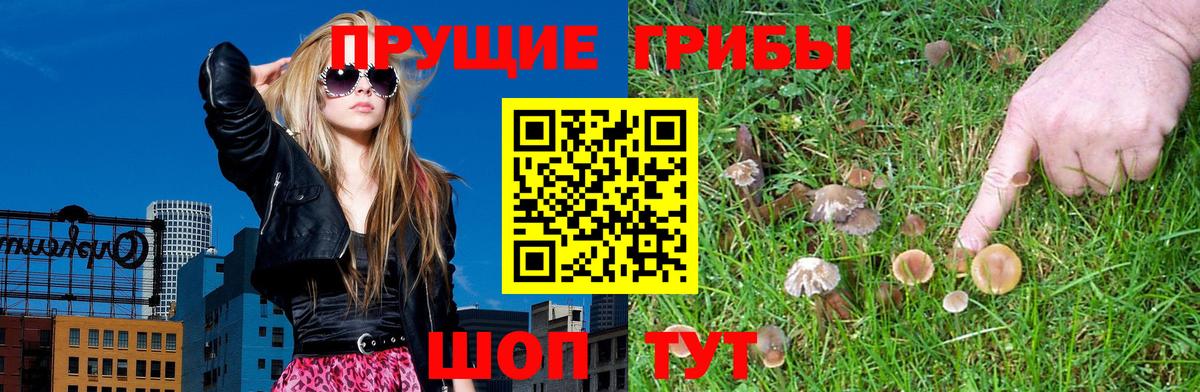 Норильск  Галлюциногенные грибы MAGIC MUSHROOMS  Вход с VPN 