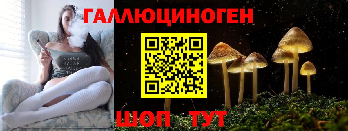 Галлюциногенные грибы мухоморы Норильск