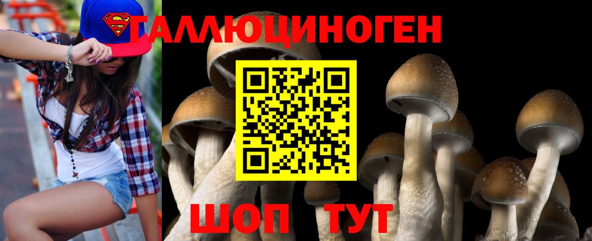 Марихуана  Кокаин  МДМА  МЕФ кристаллы  ГАШ  Норильск  Вход с VPN 